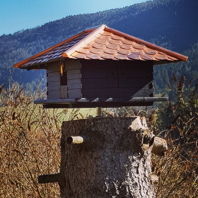 Cabane oiseau Cabane oiseau