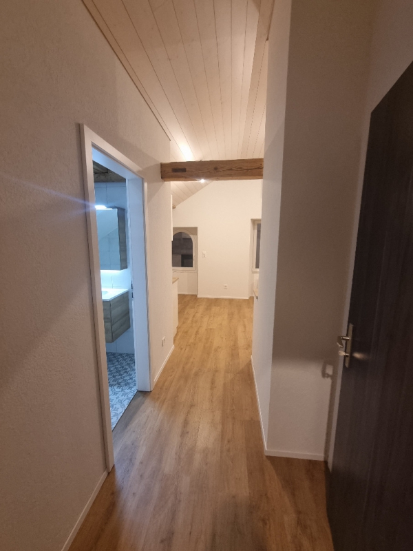 renovation