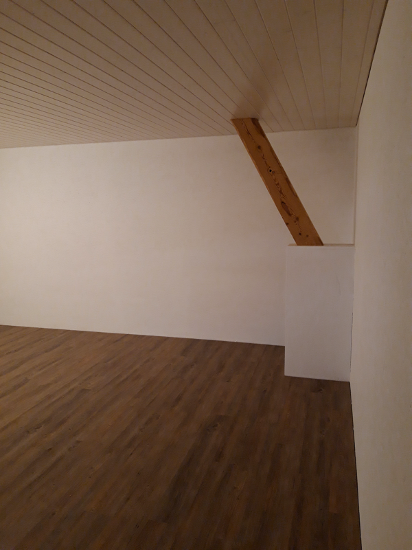 renovation-1.png